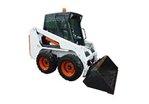 Bobcat
