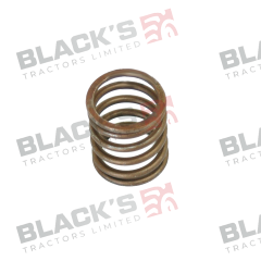 Inlet / Exhaust Valve Spring- Outer suitable for Landini - 131745122 740467M1