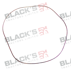 O-Ring - 1860838M1 suitable for Massey Ferguson -  1860838M1
