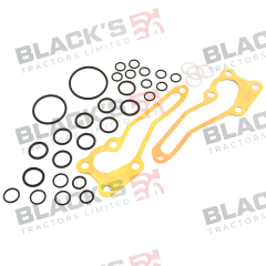 Repair Kit O-Ring suitable for Massey Ferguson -  1810684M92
