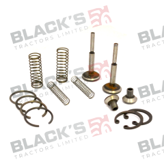 Repair Kit Chamber suitable for Massey Ferguson -  1810678M91