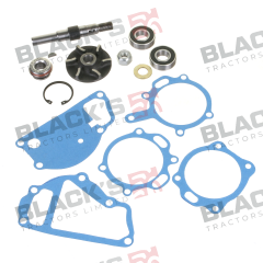Water Pump Repair Kit - 3641383R91 suitable for Landini -  3641383M91  189034  59616
