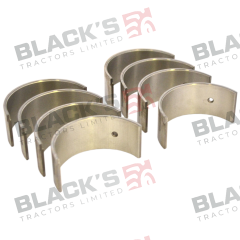 Conrod Bearing Set suitable for Massey Ferguson -  1810085M91  554317M91