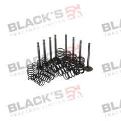 Valve Train Kit suitable for Massey Ferguson -  