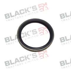 Rear Crank Seal suitable for Fiat -  40002811