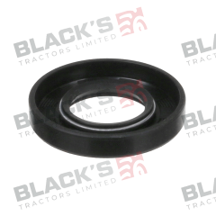 Input Shaft Seal suitable for Massey Ferguson -  195523m1