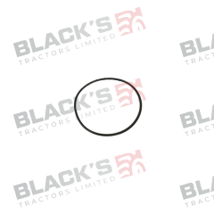 King Pin O-Ring - 371153X1 suitable for Massey Ferguson -  371153X1