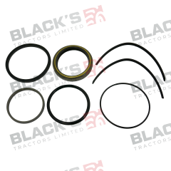 Clutch Slave Cylinder Seal Kit suitable for Massey Ferguson -  3600207M94