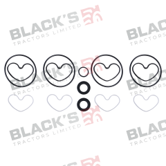 Hydraulc Pump Seal Kit - Sunstrand / Turolla Pump suitable for Landini -