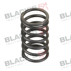 Valve Spring - 4689554 suitable for Fiat -  4673609  4689554  04689554
