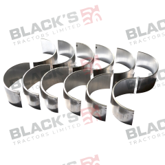 Conrod Bearing Set suitable for Massey Ferguson -  3637024M91  733766M91  736934M91