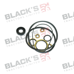 Seal Kit- Steering Pump suitable for Massey Ferguson -  1810529M91