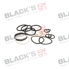 Repair Kit - Steering Column - 2730954M91 suitable for Landini -  