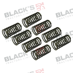 Outer Valve Spring 8 pcs Set - 3044240R1 suitable for Case International -  3044240R1