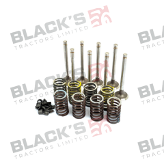 Valve train kit suitable for David Brown -  