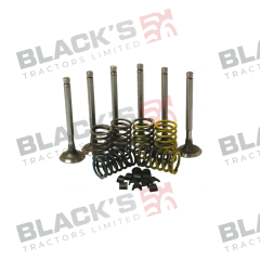 Valve Train Kit suitable for David Brown -  