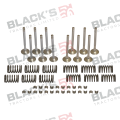 Valve Train Kit suitable for David Brown -  